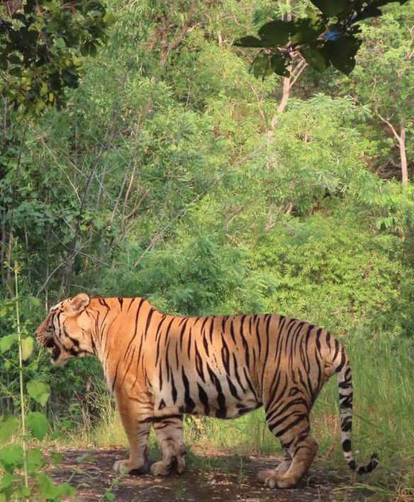 Best Place To Visit Nearby Bandhavgarh National Park