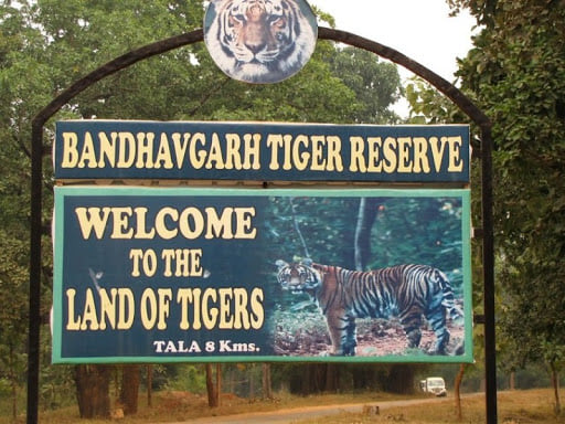 Contact Bandhavgarh Natioanl park